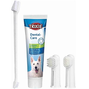 kit de higiene dental